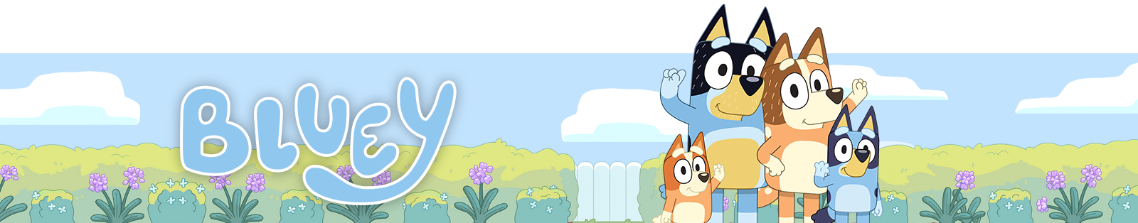 Bluey Collection