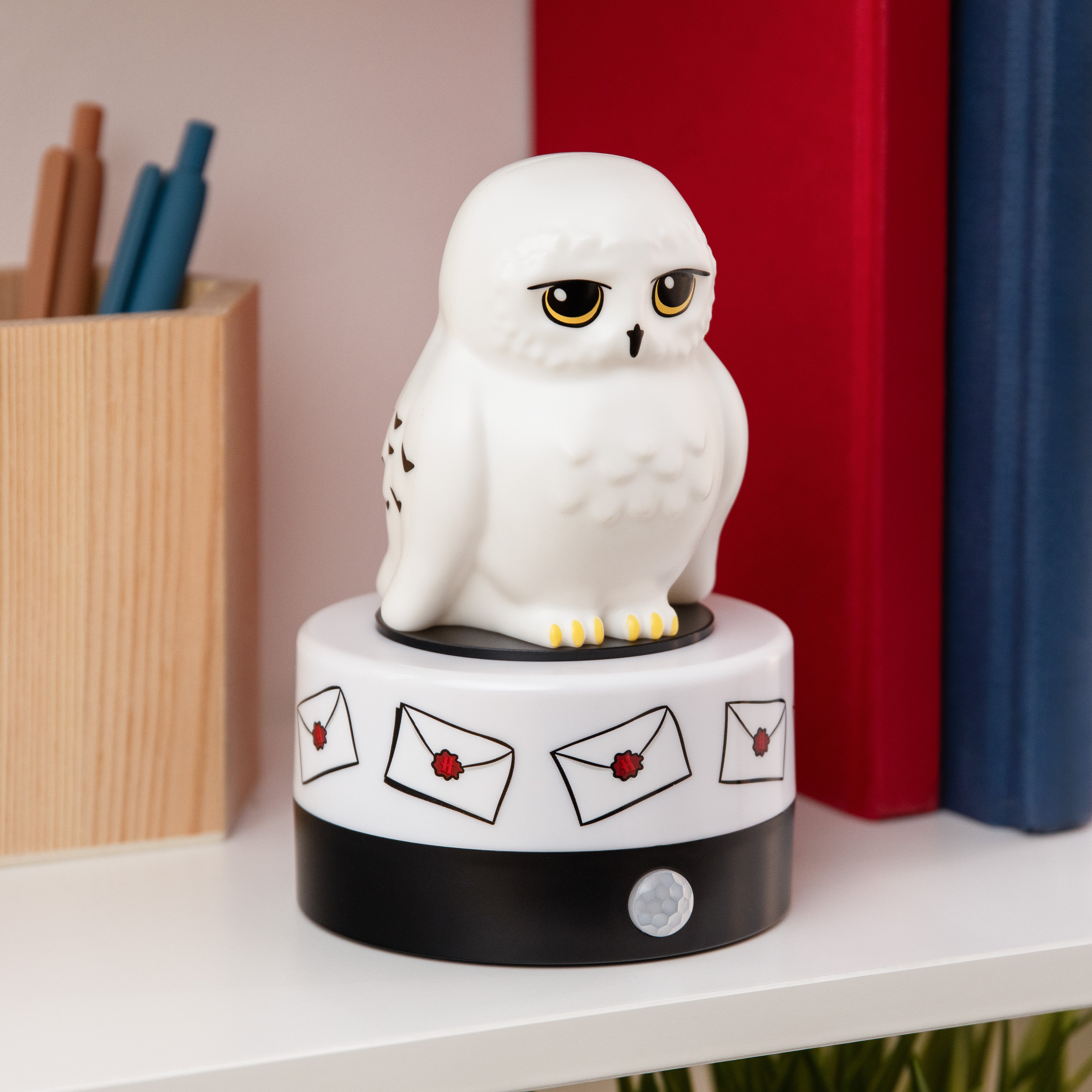 Harry Potter Hedwig Room Guard