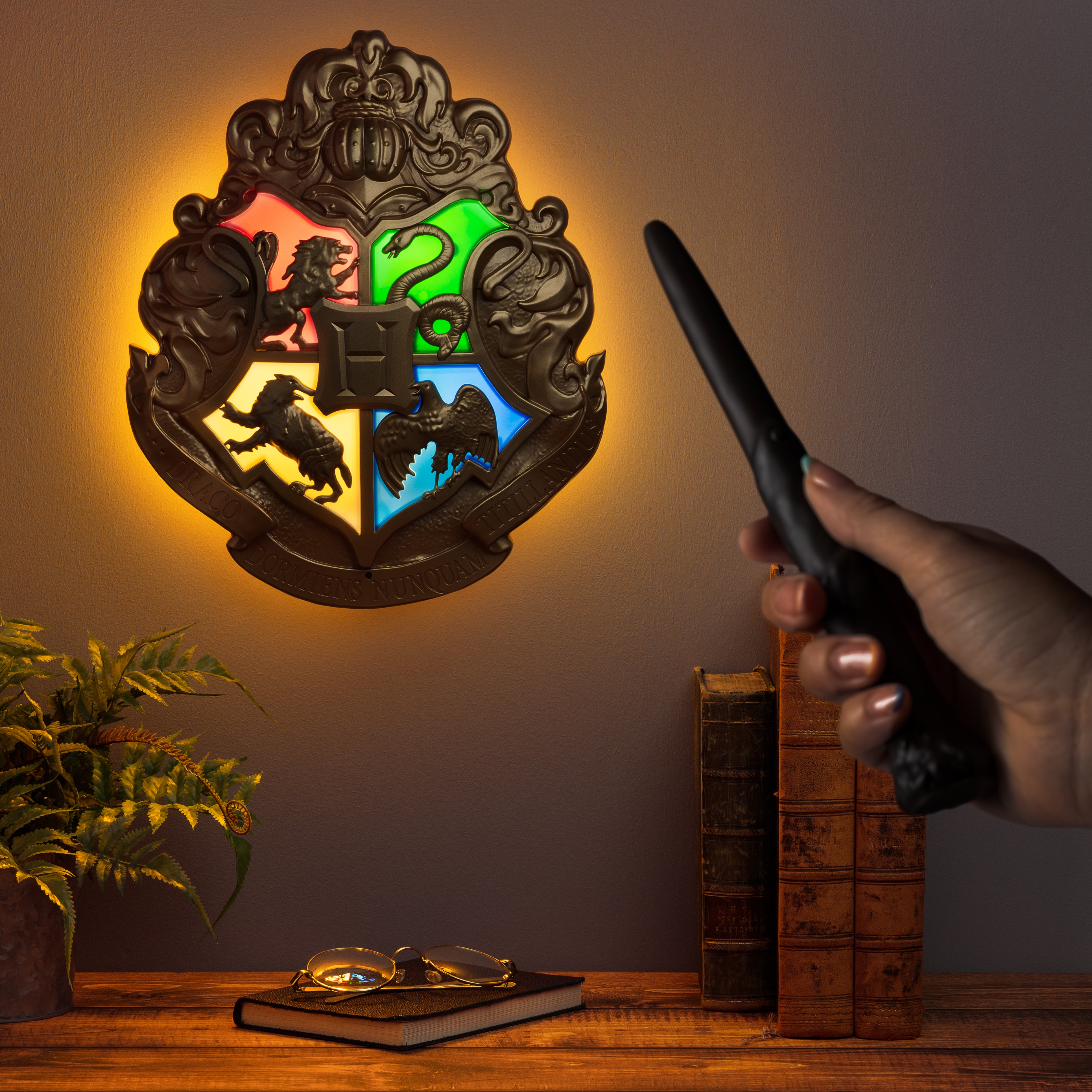Harry Potter Crest Light with Wand Remote