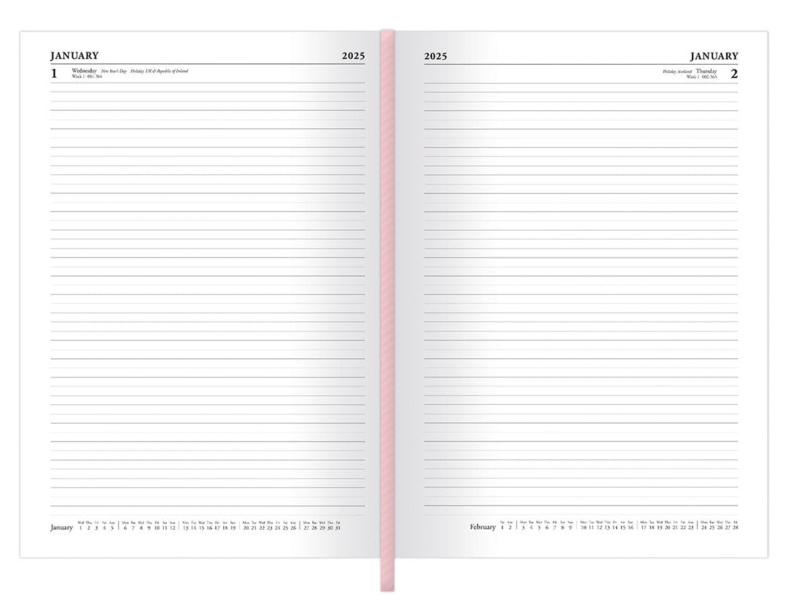 Pusheen 2025 Day to Page Diary